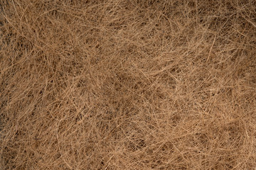 Fototapeta na wymiar Background texture of coconut husk fibers