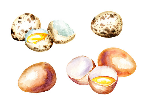 Eggs set. Watercolor  isolated on white background hand drawn illustration
