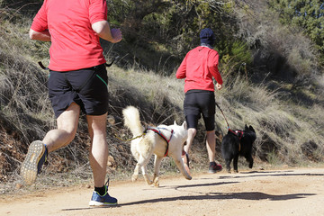 Two men and their dogs taking part in a popular canicross race.