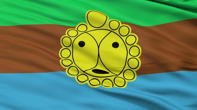 Utuado closeup flag, city of Puerto Rico, realistic animation seamless loop - 10 seconds long