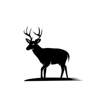 deer icon logo template , silhouette deer - vector Illustration