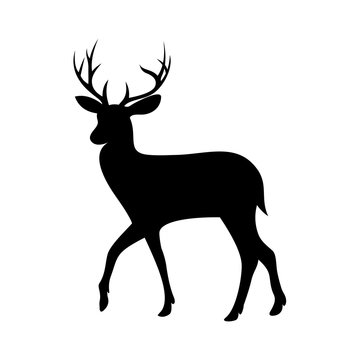 deer logo template , silhouette deer - vector Illustration