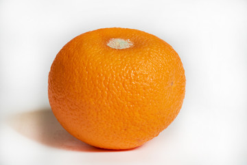 orange with mold