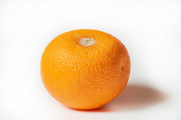 orange with mold