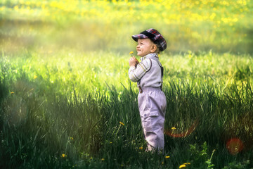 Little boy on the green lawn