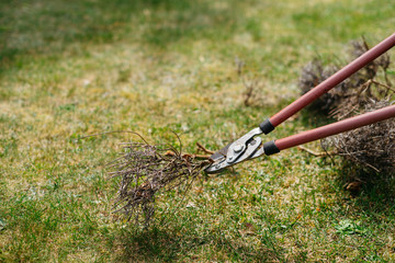 Obraz premium spring work in the garden