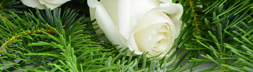 Blumen 905