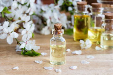 Bottle of essential oil with white blossoms