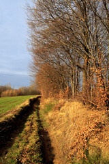 Fototapeta na wymiar Fields and forest spring season landscape of Podkarpacie region in south eastern Poland