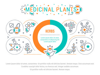 Fototapeta na wymiar Website Banner and Landing Page of Medicinal Plants.