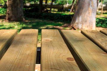 Fototapeta premium Emptry Wooden Table in Nature