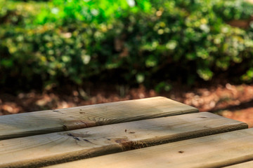 Emptry Wooden Table in Nature