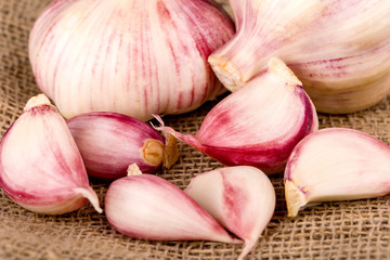 Garlic Cloves and Garlic Bulb on vintage burlap, concept healthy lifestyle