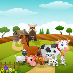 Animals group at the path of farm
