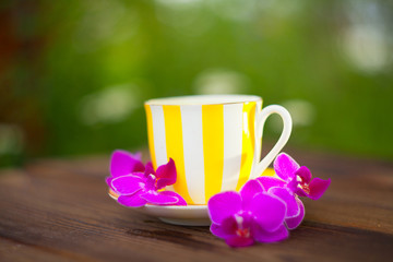 delicious green tea in a beautiful glass bowl on table