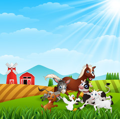Farm animals playing at hills