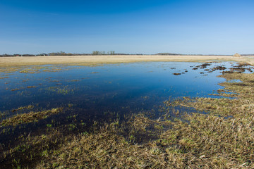 Flooded fields and clear sky