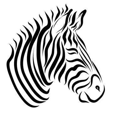 The head of the zebra, painted only with black lines