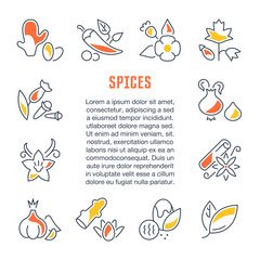 Website Banner and Landing Page of Spices.