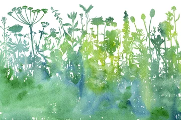 Crédence de cuisine en verre imprimé Nature aquarelle Fond aquarelle avec dessin d& 39 herbes et de fleurs