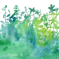 Stickers pour porte Nature aquarelle Fond aquarelle avec dessin d& 39 herbes et de fleurs