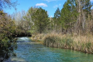 Cabriel River with crystal clear waters and surrounded by green vegetation