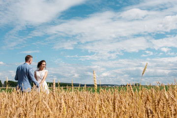Naklejka na ściany i meble The bride and groom stand in wheat field