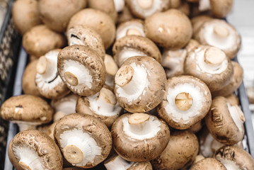 Fresh white and brown selected champignons mushrooms on the shop. texture background