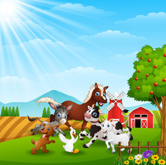 Obraz na płótnie Canvas Animals playing together at farm background
