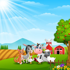 Obraz na płótnie Canvas Cute animals at farm background