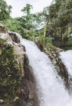 scenic view of Gitgit Waterfall and various green plants, Bali, Indonesia