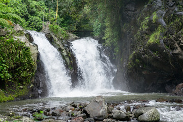 scenic view of Aling-Aling waterfall and various green plants, Bali, Indonesia