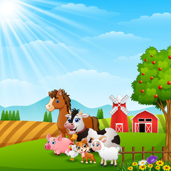 Obraz na płótnie Canvas Happy animals at farm background on daylight