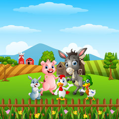 Obraz na płótnie Canvas Happy little animals in the farm