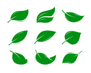 green leaf logo or label. natural product, nature, eco icon. vector illustration