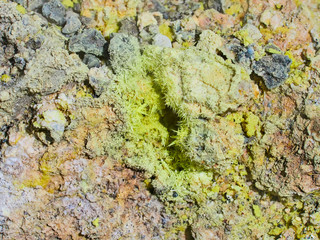 Sulphur gas coming out of the edge of the volcanic crater on the Vulcano island in the Aeolian islands, Sicily, Italy
