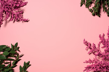Fototapeta premium top view of frame of beautiful flowers and branches on pink tabletop