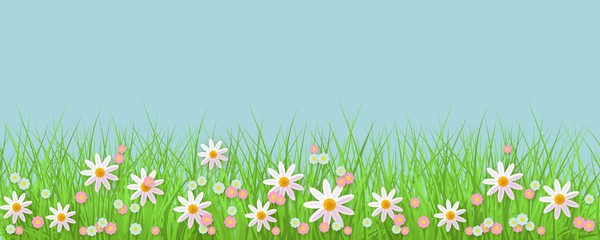 Spring background with grass and flowers border against blue sky with empty space for text. Greeting card decoration element for Easter congratulation. Cartoon vector illustration.
