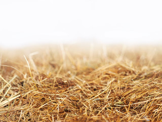 Horizontally bales of cereal straw on white background, agricultural background, close-up. Feed and...