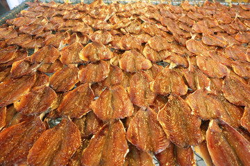 Row of many Dried fish mackerel Spread on the net. Seafood processing for sale at Seafood local Market in Chonburi, Thailand