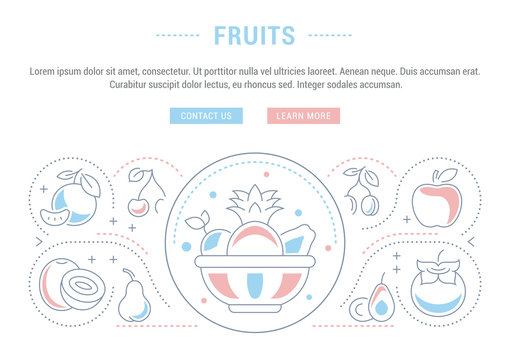 Website Banner and Landing Page of Fruits.
