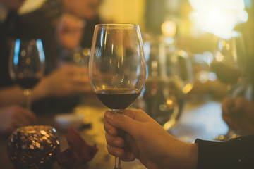 Woman holding glass of red wine. Party in the bar.