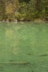 Bäume spiegeln sich auf einem See in den Bergen