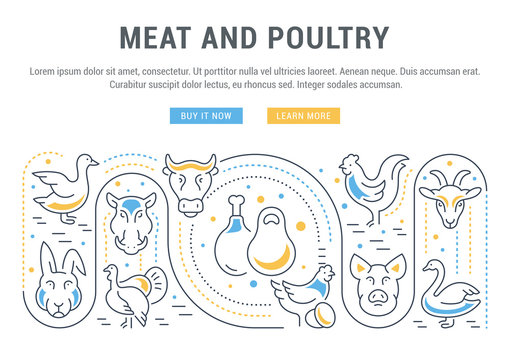 Website Banner and Landing Page of Meat and Poultry.