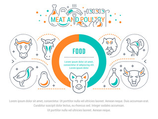 Website Banner and Landing Page of Meat and Poultry.