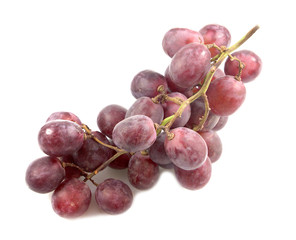 Red grape bunch, wine grapes isolated on white background, healthy fruit, Food concept.