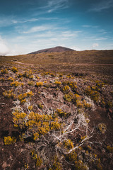 Plaine des Sables, Piton de la Fournaise at Reunion Island