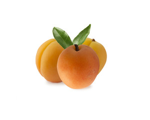 three apricots isolated on white background. Ripe apricots  with copy space for text. Apricots isolated on white background. Fruit on white background. 