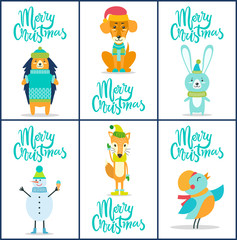 Merry Christmas Collection Vector Illustration
