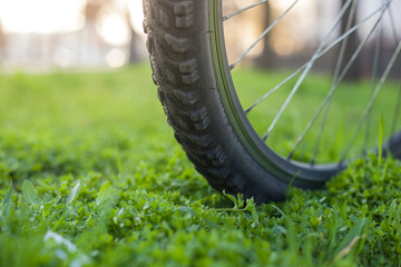 Mountain bike wheel on the green grass on the street in the spring